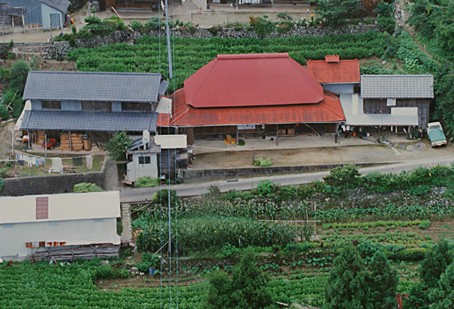 �j�ꂽ�ʐ^�̕���